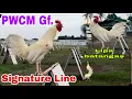 Signature Line ng PWCM Gf for Sharing
