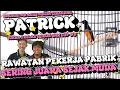 Download Lagu MURAI PATRICK JUARA SEJAK MUDA : RAWATAN PEKERJA PABRIK | JUARA 1 KELAS SENIOR GMK CUP 9