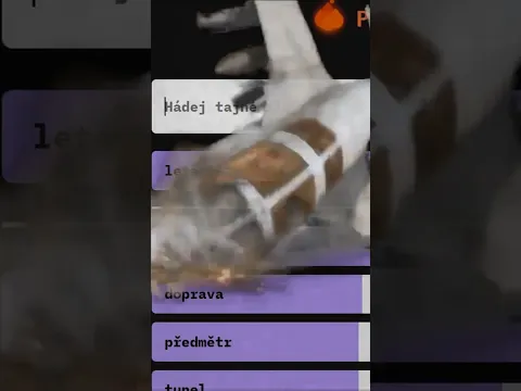 Vlaje to, ale není to vlajka. Co je to?🔥#prihorivahori