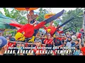 Download Lagu ARAK ARAKAN RAJAWALI!!! DANGDUTAN TRUS DI REAKEUN MANTAP PISAN - Cuta Muda Grup Live Cikoneng
