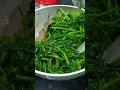 Download Lagu Resep Tumis Kangkung Enak Tetap Hijau  #kangkung #resepmasakanseharihari