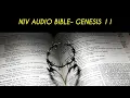 GENESIS 11 NIV BIBLE with text