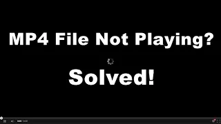Can t Play MP4 on Windows Why How to Fix