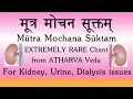 Download Lagu Mootra Mochana Suktam | RARE CHANT | Atharva Veda | Treating Kidney \u0026 Urinary Issues | Sri K Suresh