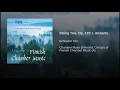 String Trio, Op. 133: I. Andante - Echnaton Trio