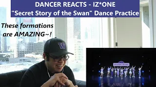 Download DANCER REACTS - IZ*ONE (아이즈원) - \ MP3