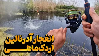 باورم نمی شد اینجا اردک ماهی داشته باشه ماهیگیری در آبگیرهای عجیب گیلان 