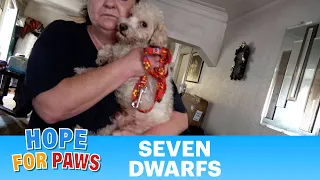 Their owner died unexpectedly, and their future was unknown. 😨