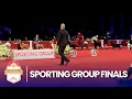 Sporting Group Finals 2025 AKC National Championship Presented by Royal Canin