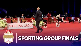 Play trivia and poll mini-games with friends, while you watch Sporting Group Finals - 2025 AKC National Championship (2025). Who will be top dog?!