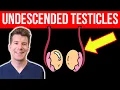 Lagu Doctor explains UNDESCENDED TESTICLES | Causes, symptoms, treatment