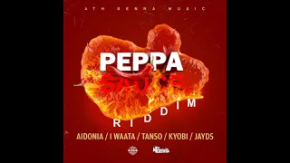 peppa sauce riddim mix 2020 aidonia i waata jayds tanso aidonia kyodi