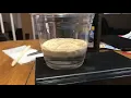 1 teaspoon of yeast