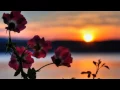 Download Lagu Rudy La Scala - Como Pasan Los Días