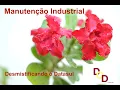 Channel