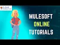 Mulesoft Tutorial Mulesoft Training Courses Mulesoft Course Mulesoft CloudFoundation
