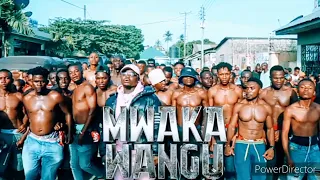 harmonize mwaka wangu official music video