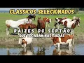 Download Lagu MEMÓRIAS DA MUSICA SERTANEJA VOL  5 1996