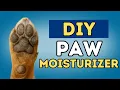 Dry Dog Paw Simple DIY Dog Butter for Calluses