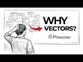 What REALLY Happens When You Use Vector Databases in AI