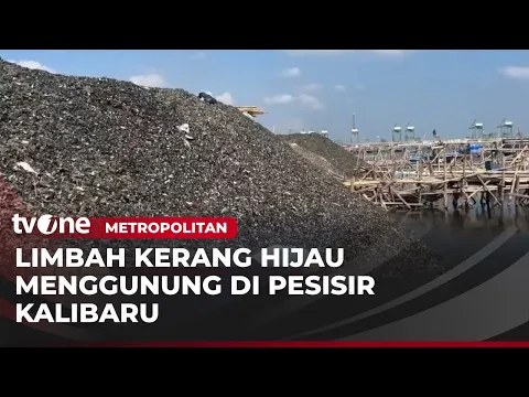 Kondisi Pesisir Kalibaru yang Dipenuhi Limbah Kerang Hijau