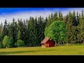 Download Lagu Kingdom Melodies: JW Songs and Beautiful nature