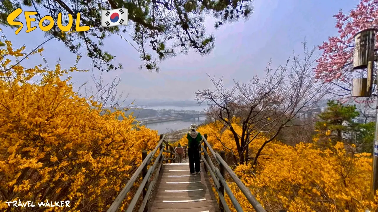 관련 영상 썸네일