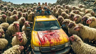 خرفان زومبي اتربت في مزرعة بس كلهم هربوا وحو لوا البني آدمين لحيوانات زومبي زيهم تلخيصة FILM 