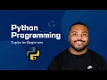 Python Tuples for Data Science Guide for Beginners 2024