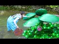 Download Lagu 🍏🍏Marine Marvel: Teenager's Chance Encounter Leads to Discovery of Unusual Pearl-Stuffed Clam
