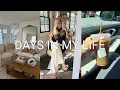 VLOG new couch hair appointment nails etc