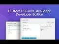 Custom CSS Javascript Developer Edition WordPress Plugin