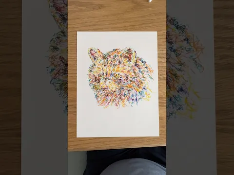 Raccoon Art! #scribbleart #scribbledrawing #animalart #animaldrawing #animalpaintings #raccoon