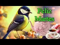 Feliz Martes MENSAJE DE BUENOS DIAS Saludos reflexion frases buenos dias abrelo