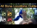 Monster Hunter World All Bone Locations Guide Pre-Iceborne