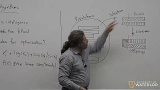 Machine Intelligence - Lecture 18 Evolutionary Algorithms