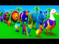 Long Slide Game With Cow Elephant Gorilla Hippopotamus Tiger 3d Animal Game Funny 3d Animals
