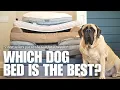 Which is the Best Dog Bed for Large Dogs 7 Most Popular Beds Tested for 10 Weeks RESULTS
