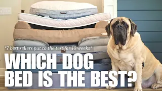 Which is the Best Dog Bed for Large Dogs 7 Most Popular Beds Tested for 10 Weeks RESULTS