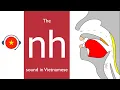 Download Lagu 🇻🇳 Vietnamese : nh sound. Learn sound system in Vietnamese. Vietsound.