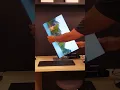 Dell P2422H Desk Top Monitor Flexibility Review
