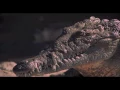 Live and Let Die - Bond 50 Teaser