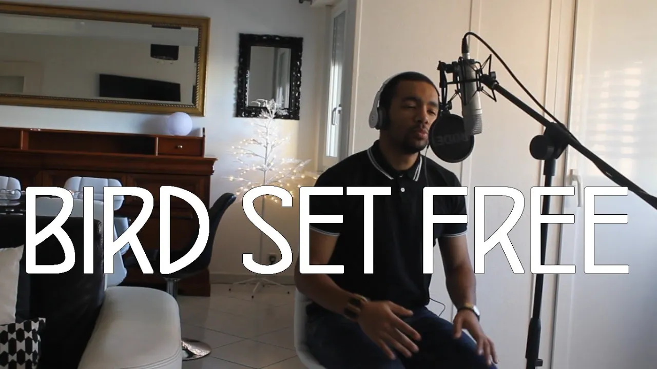 Sia - Bird Set Free COVER (Official Video by Valentin)
