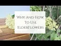 Download Lagu Why and How to use Elderflowers