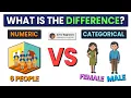 Numerical vs Categorical Data Represent Your Dataset Correctly