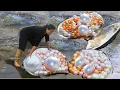 Download Lagu Take out the giant clam hidden in the water, and every pearl inside is so charming