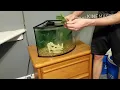 Top Fin Astonish corner tank setup