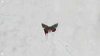                         ساڤچ   طب وبعدين  دندنها