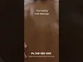 The Healing Path Massage Swedish Massage