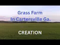 Grass Farm In Cartersville 6-21-2026